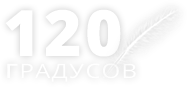 логотип 120 градусов